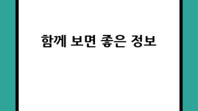 스플린트 가격: 종류별 비교 & 저렴하게 사는 팁